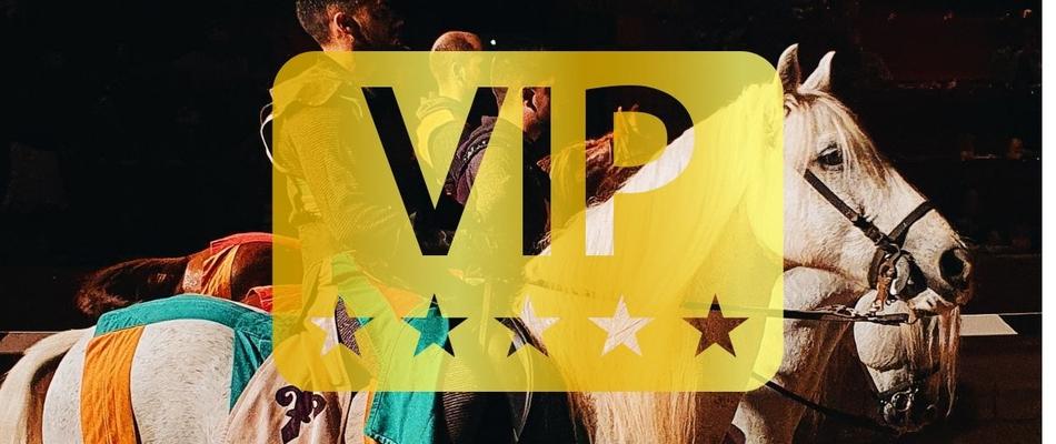 Dinner-Show 'Medieval Challenge' (VIP Pass) Отель Magic Rock Gardens Бенидорме Dinner-Show 'Medieval Challenge' (VIP Pass) Отель Magic Rock Gardens Бенидорме